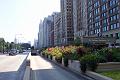 Chicago 013